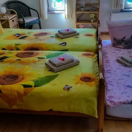 Διαμέρισμα Thien *