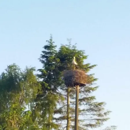 Thien * Gross Niendorf (Mecklenburg-Vorpommern)
